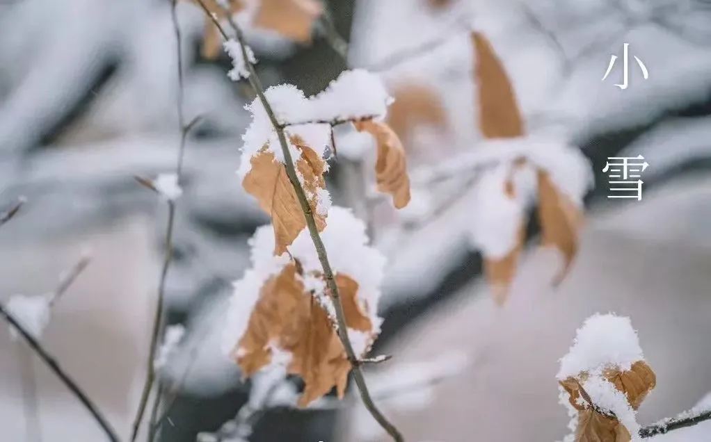 Neige mineure - Ce qu'il faut savoir