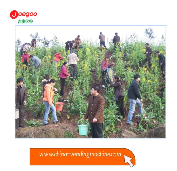 Le département d'exportation de la société Jeogoo a organisé une activité vol...